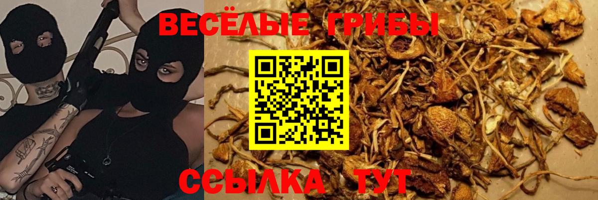 Галлюциногенные грибы мухоморы Энгельс