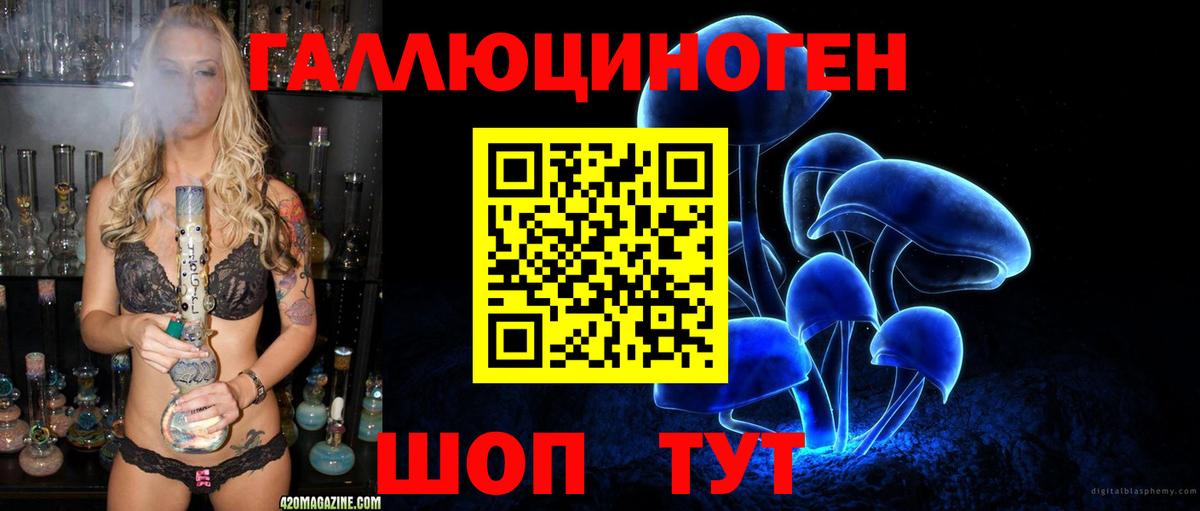 Псилоцибиновые грибы Psilocybine cubensis  Вход с VPN  Энгельс  Галлюциногенные грибы GOLDEN TEACHER 