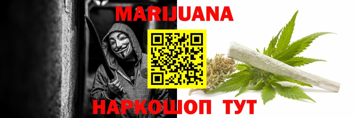 Марихуана сатива Энгельс